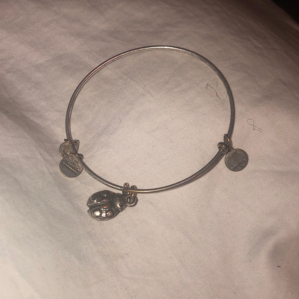 Alex and Ani ladybug bracelet
